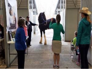 Shire Black Park Sensation