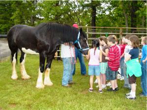 Shire at Food for America Event