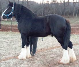 Shire Passage Creek Poetry Man