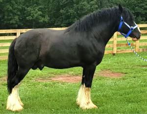 Shire Passage Creek Poetry Man