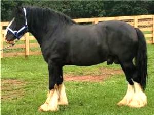 Shire Passage Creek Poetry Man