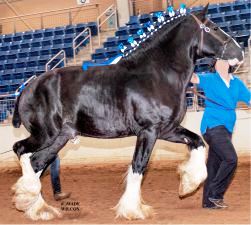 Shire Passage Creek Poetry Man at KILE